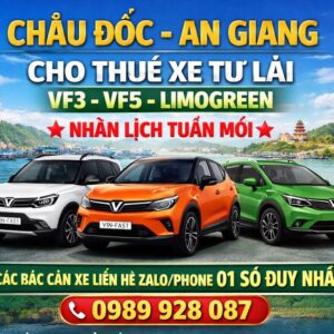 [ CHÂU ĐỐC - AN GIANG] Cho thuê xe tự lái VF3, VF5 , LIMOGREEN